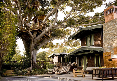 Easy Tree House Designs. Luxury Treehouse Designs
