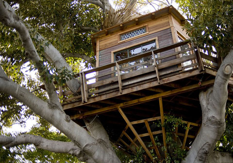 Design House Plan on Here Are Some Treehouse Design Resources