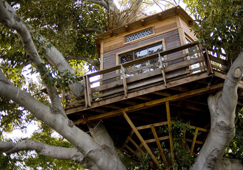 Tree House Plans on Tree House Design Jpg