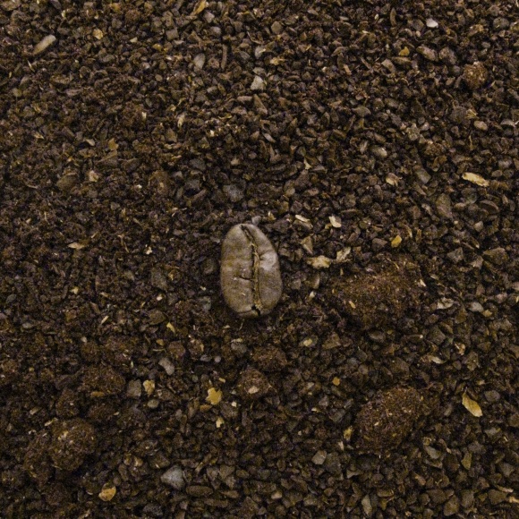 coffee-grounds.jpg