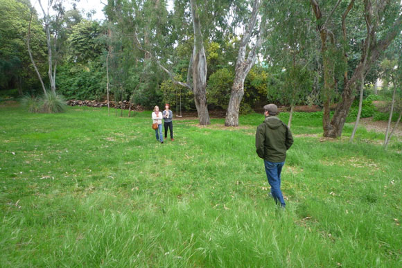 eames-house-meadow.jpg