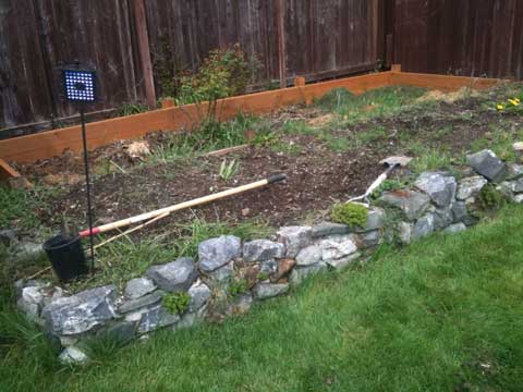 Build Your Own Garden Box