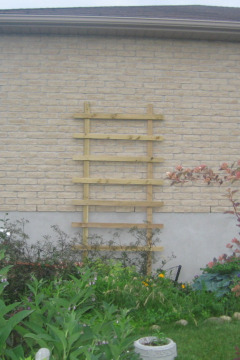 new trellis.jpg