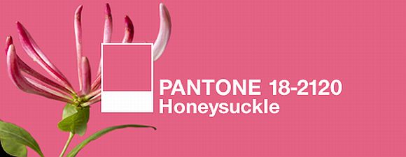 pantone_pink_2011.jpg