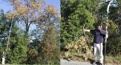 pole-saw-tree-limbs.jpg