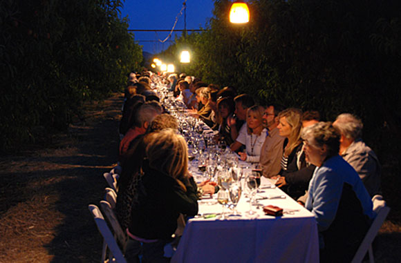 schnepf-farms-orchard-dinner.jpg